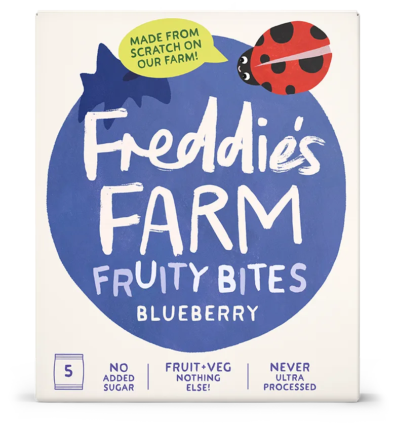 Blueberry Fruity Bites Box
